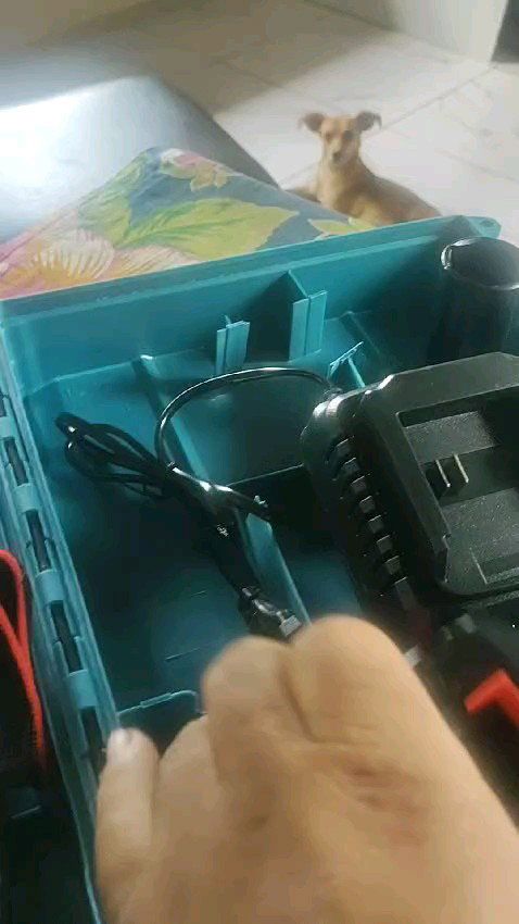 Foto enviada por Malu Pimenta